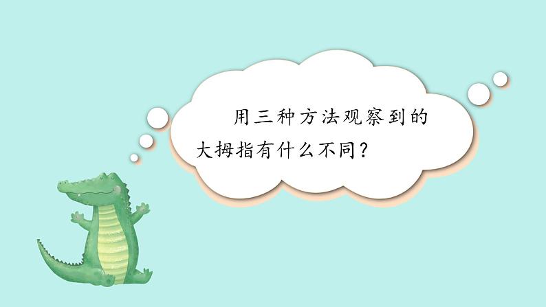 （2024新课标）苏教版科学一年级上册-5 借助工具观察-PPT课件+视频图片素材04