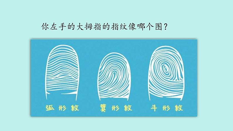 （2024新课标）苏教版科学一年级上册-5 借助工具观察-PPT课件+视频图片素材05