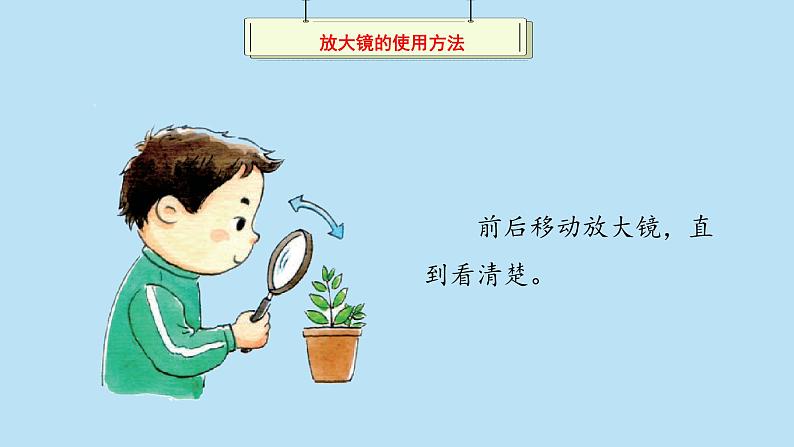 （2024新课标）苏教版科学一年级上册-5 借助工具观察-PPT课件+视频图片素材06
