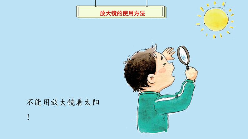 （2024新课标）苏教版科学一年级上册-5 借助工具观察-PPT课件+视频图片素材07