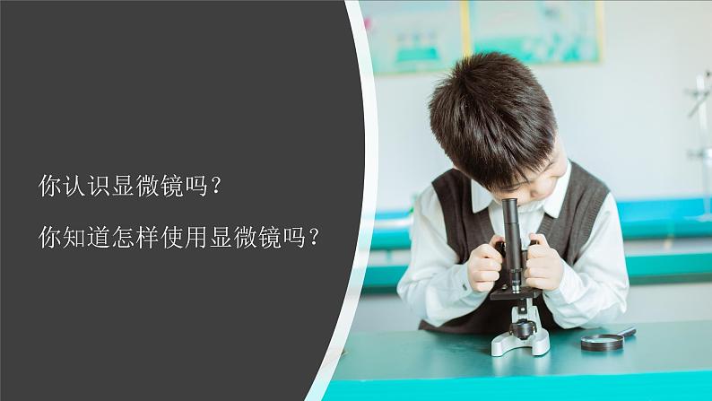 （2024新课标）苏教版科学一年级上册-5 借助工具观察-PPT课件+视频图片素材08