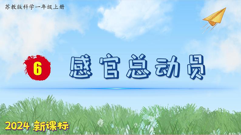 （2024新课标）苏教版科学一年级上册-6 感官总动员-PPT课件+视频图片素材01