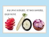 （2024新课标）苏教版科学一年级上册-6 感官总动员-PPT课件+视频图片素材