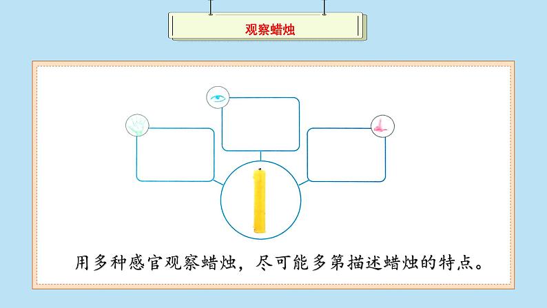 （2024新课标）苏教版科学一年级上册-6 感官总动员-PPT课件+视频图片素材05