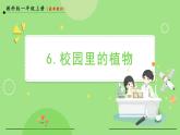 1.6 校园里的植物（课件）-2024-2025学年一年级科学上册教科版(2024)