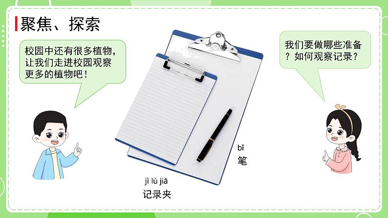 1.6 校园里的植物（课件）-2024-2025学年一年级科学上册教科版(2024)03