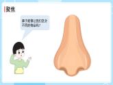 2.4 气味告诉我们（课件）-2024-2025学年一年级科学上册教科版(2024)