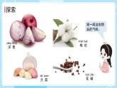 2.4 气味告诉我们（课件）-2024-2025学年一年级科学上册教科版(2024)