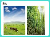 1.1 地球家園中有什么（課件）-2024-2025學(xué)年二年級(jí)科學(xué)上冊(cè)教科版