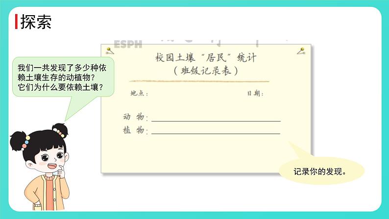 1.2 土壤——动植物的乐园（课件）-2024-2025学年二年级科学上册教科版05