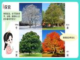 1.6 不同的季節(jié)（課件）-2024-2025學年二年級科學上冊教科版