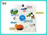 1.6 不同的季節(jié)（課件）-2024-2025學年二年級科學上冊教科版