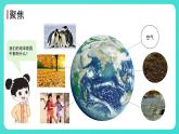 1.7 做大自然的孩子（課件）-2024-2025學(xué)年二年級(jí)科學(xué)上冊(cè)教科版