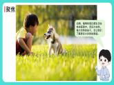 1.7 做大自然的孩子（課件）-2024-2025學(xué)年二年級(jí)科學(xué)上冊(cè)教科版