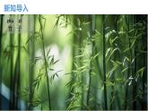 【核心素养】教科版小学科学一上 1.2《观察植物》课件+教案+练习（含答案）