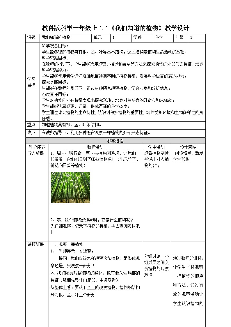 【核心素养】教科版小学科学一上 1.2《观察植物》课件+教案+练习（含答案）01