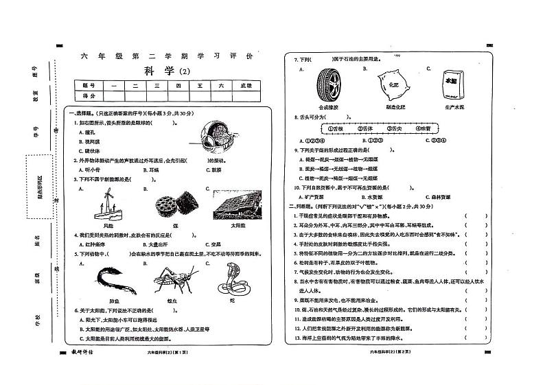 山东省济宁市金乡县2023-2024学年六年级下册期中科学试卷01