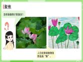 1.4 给植物画张“像”（课件）-2024-2025学年一年级科学上册教科版(2024)