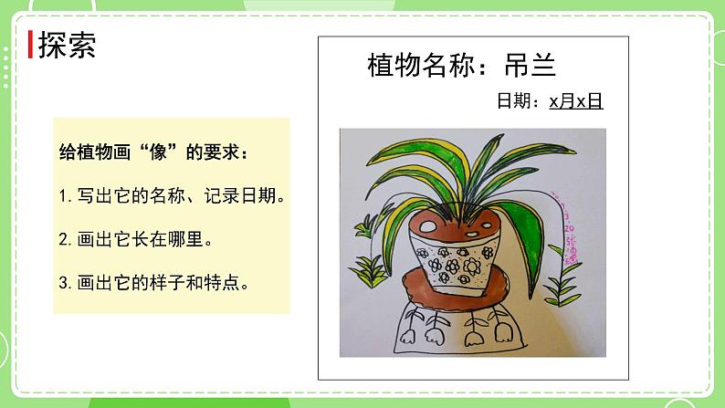 1.4 给植物画张“像”（课件）-2024-2025学年一年级科学上册教科版(2024)04