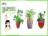 1.4 给植物画张“像”（课件）-2024-2025学年一年级科学上册教科版(2024)