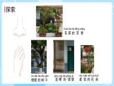 2.5 通过感官来发现（课件）-2024-2025学年一年级科学上册教科版(2024)