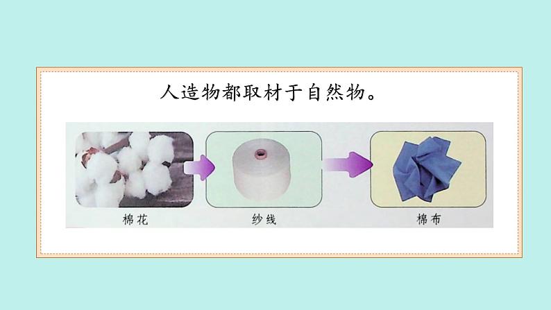 （2024）苏教版科学一年级上册-10 自然物与人造物 PPT课件第8页