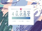 苏教版小学科学一年级上册2.1 认识感官  课件+视频素材