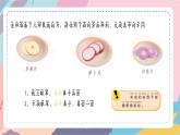 苏教版小学科学一年级上册2.3 感官总动员（含单元小结） 课件+视频素材