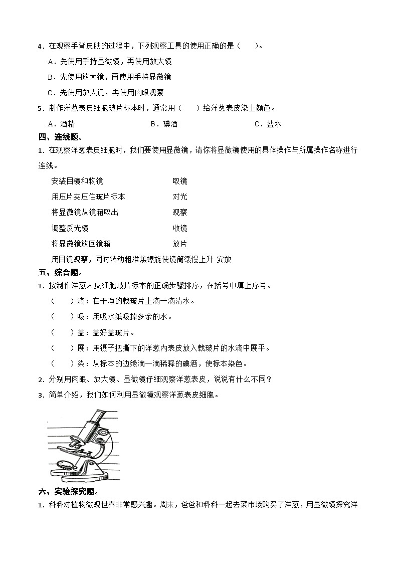 第一单元第4课《观察洋葱表皮细胞》同步练习-2024-2025学年六年级上册科学（教科版）02