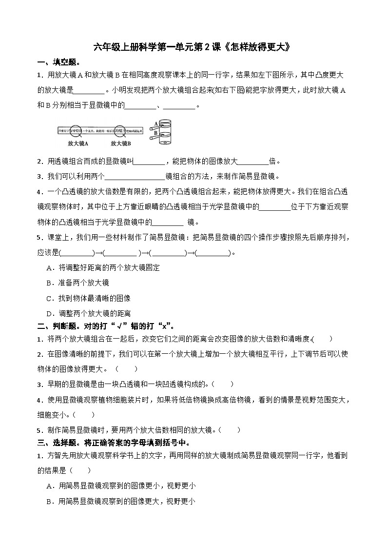 第一单元第2课《怎样放得更大》同步练习-2024-2025学年六年级上册科学（教科版）01