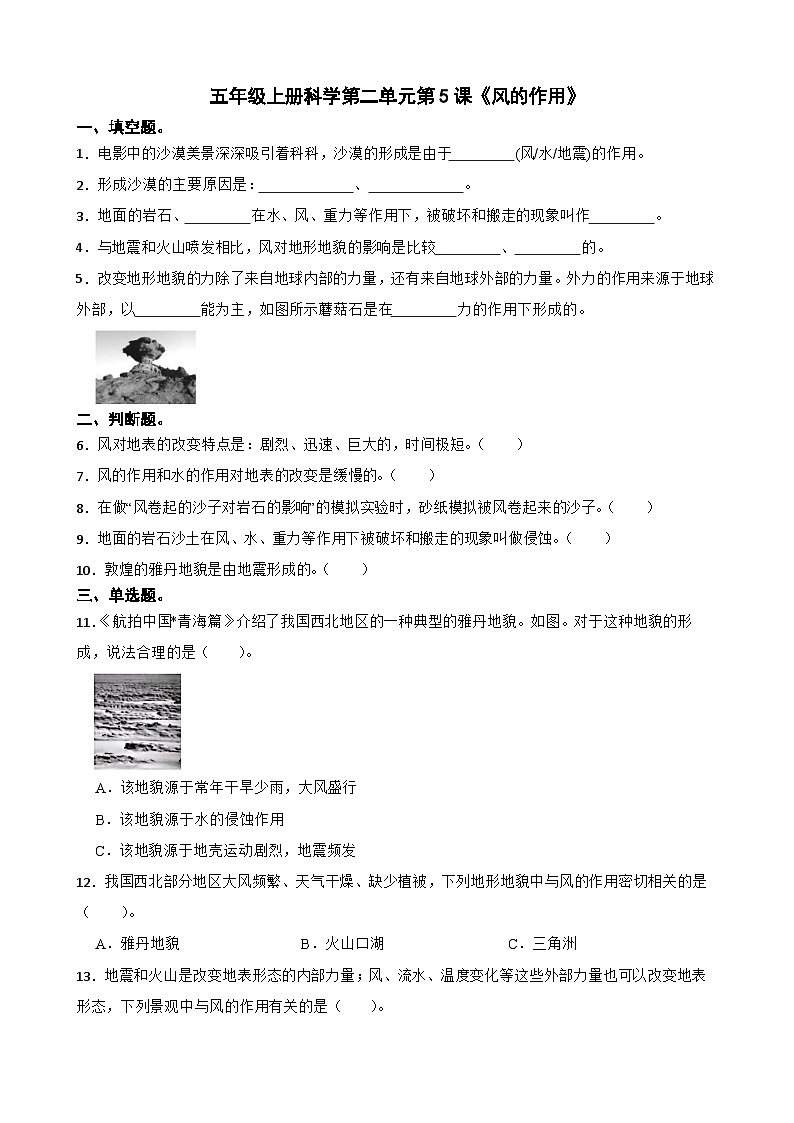 第二单元第5课《风的作用》同步练习-2024-2025学年五年级上册科学（教科版）01