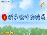 （2024新课标）苏教版科学一年级上册-9 探究秋叶的秘密-PPT课件+视频图片素材