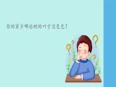 （2024新课标）苏教版科学一年级上册-9 探究秋叶的秘密-PPT课件+视频图片素材