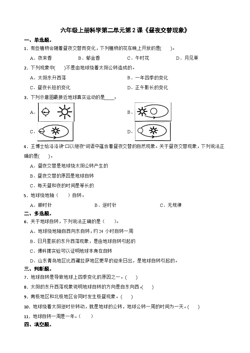 第二单元第2课《昼夜交替现象》同步练习-2024-2025学年六年级上册科学（教科版）01