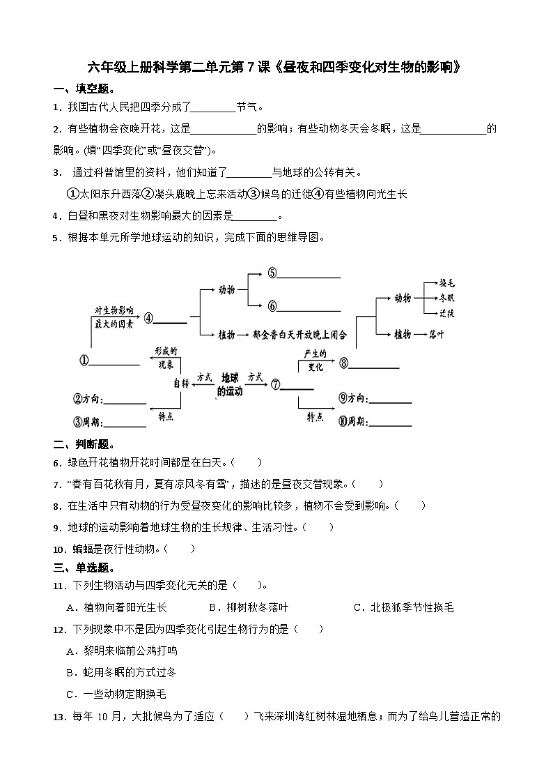 第二单元第7课《昼夜和四季变化对生物的影响》同步练习-2024-2025学年六年级上册科学（教科版）01