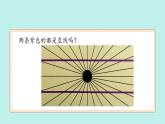 （2024新课标）苏教版科学一年级上册-8 从猜想到验证-PPT课件+视频图片素材