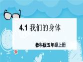 4.1我们的身体（课件+教案+练习）2024科学五上