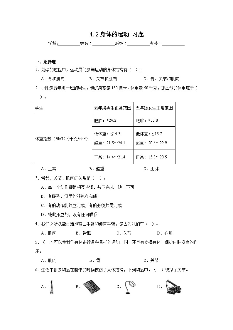 4.2身体的运动（课件+教案+练习）2024科学五上01
