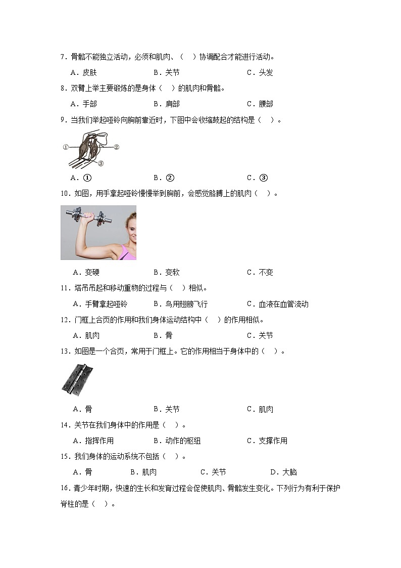 4.2身体的运动（课件+教案+练习）2024科学五上02