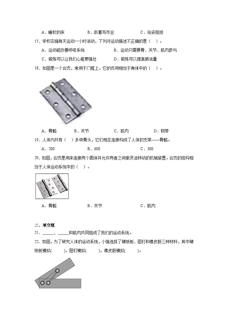 4.2身体的运动（课件+教案+练习）2024科学五上03