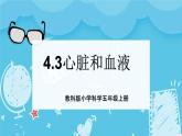 4.3心臟和血液（課件+教案+練習）2024科學五上