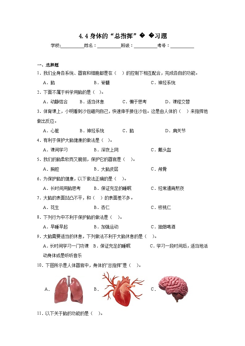 4.4身体的“总指挥”（课件+教案+练习）2024科学五上01