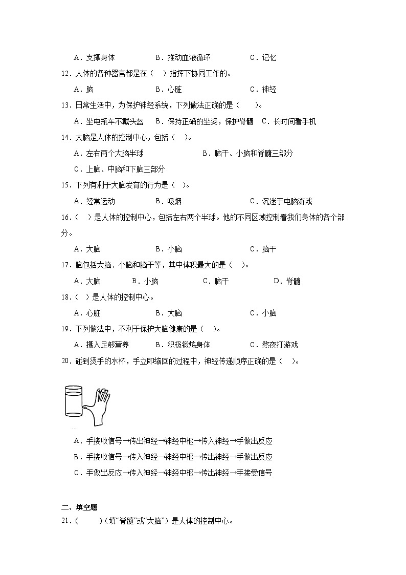 4.4身体的“总指挥”（课件+教案+练习）2024科学五上02