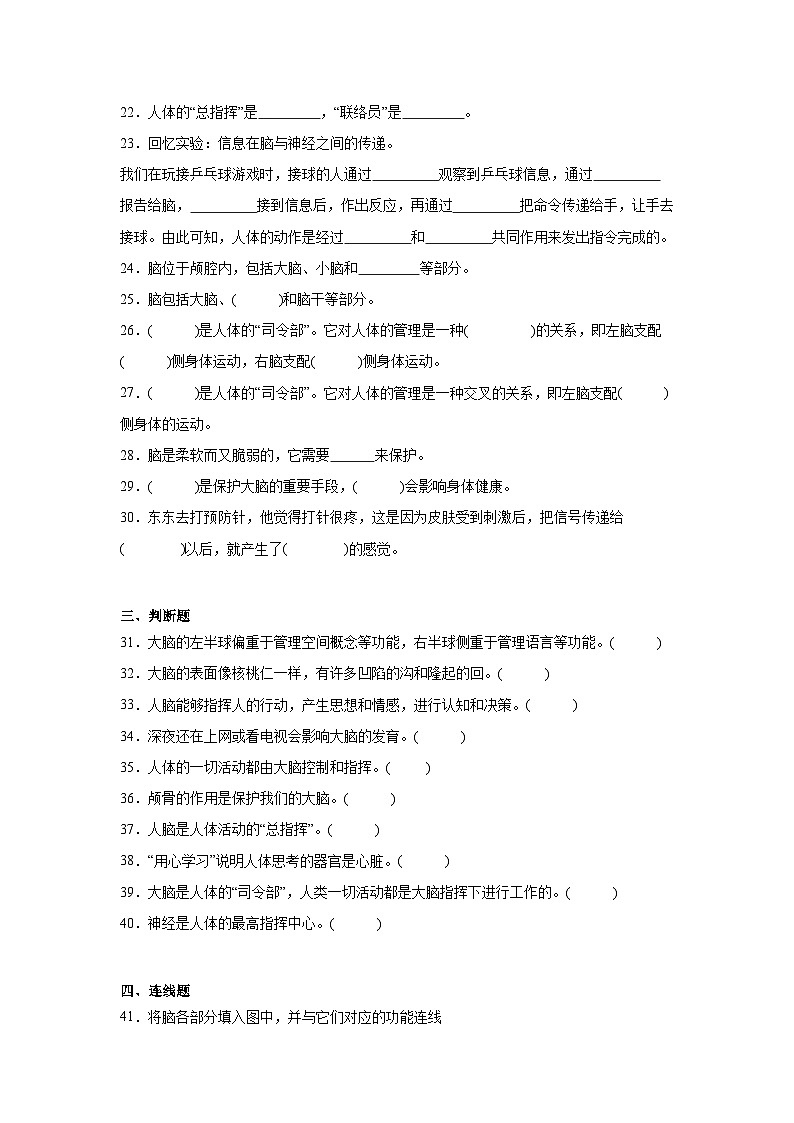 4.4身体的“总指挥”（课件+教案+练习）2024科学五上03