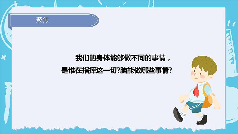 2024-2025教科版小学科学五年级上册4.4《身体的“总指挥”》PPT第3页