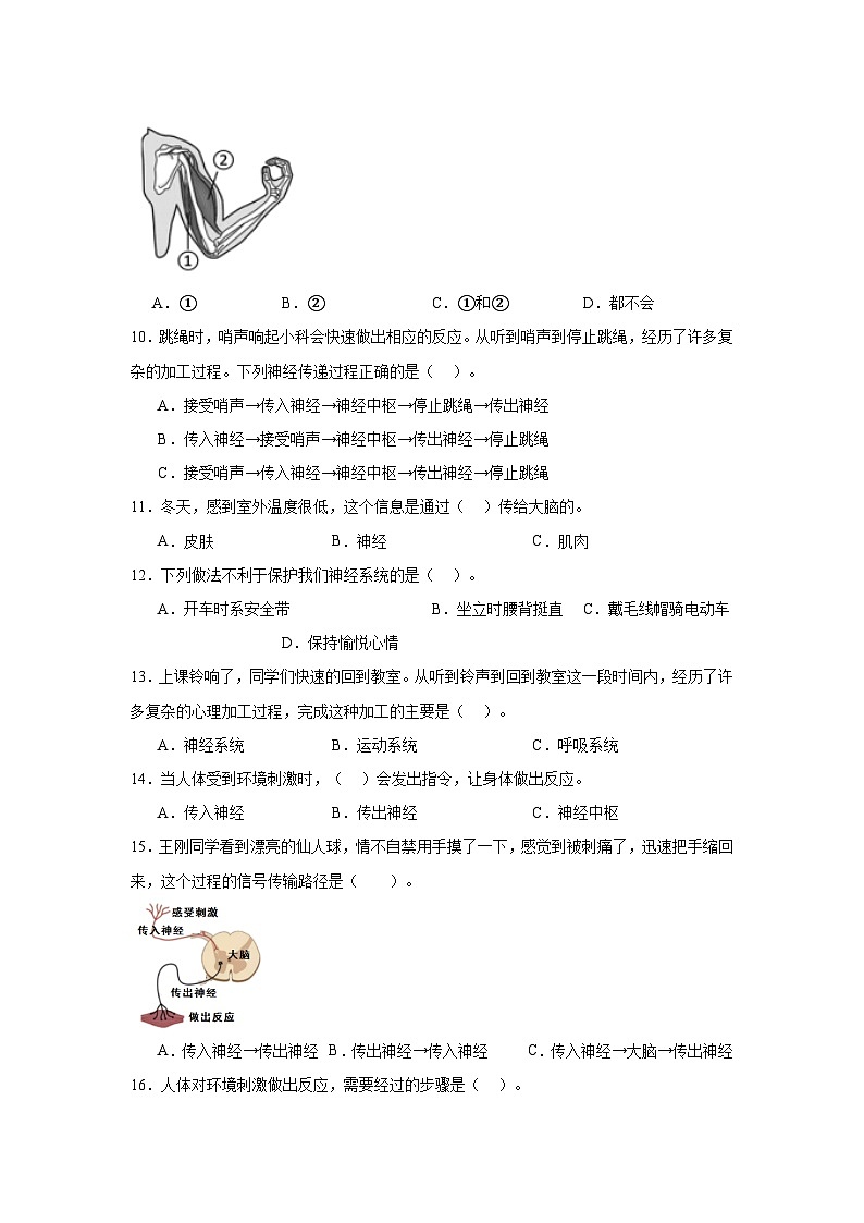 4.5身体的“联络员（课件+教案+练习）2024科学五上02