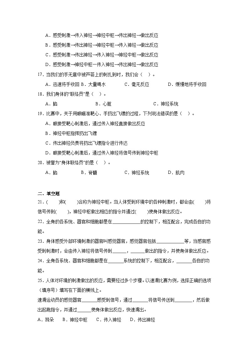 4.5身体的“联络员（课件+教案+练习）2024科学五上03