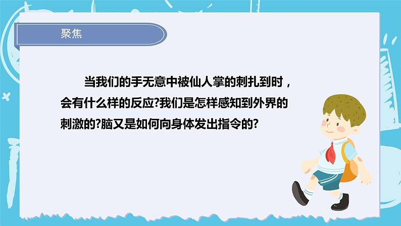 4.5身体的“联络员（课件+教案+练习）2024科学五上03