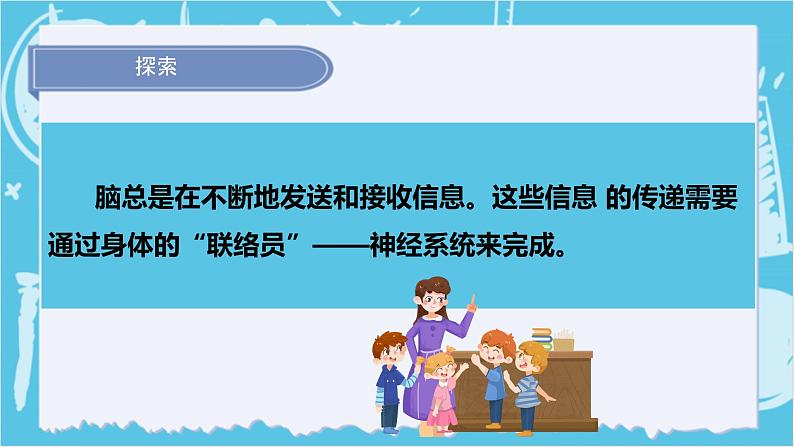 4.5身体的“联络员（课件+教案+练习）2024科学五上06