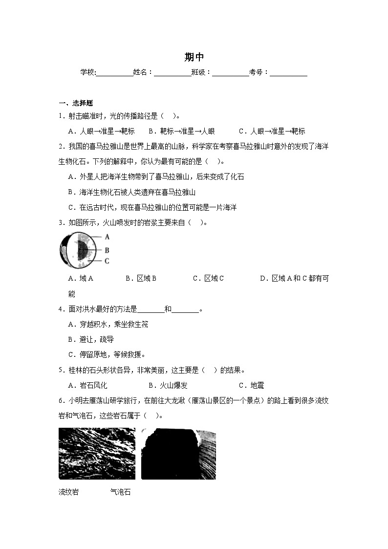 期中检测B（期中检测）2024-2025五年级上册科学教科版01